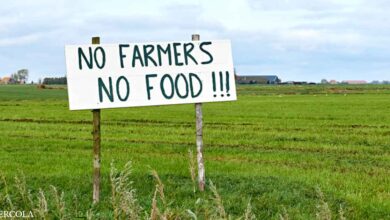 Dutch Farmers Rise Up Against Food System ‘Reset’