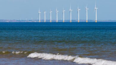 The Texas Offshore Wind Fable – Watts Up With That?