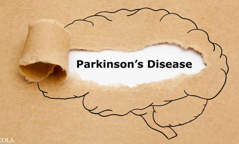 The Gut's Role in Parkinson's Disease