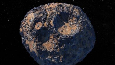 Surprise!  NASA says asteroid Bennu is like a children's 'ball hole'