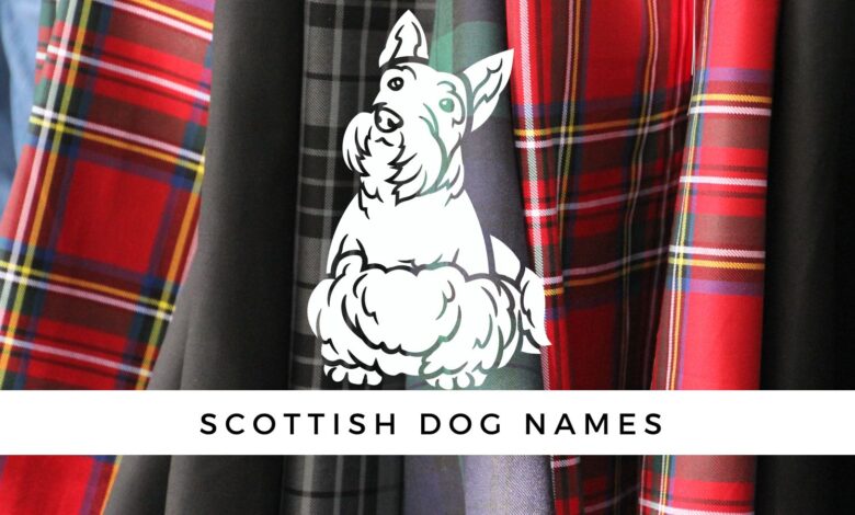 Scottish Dog Names