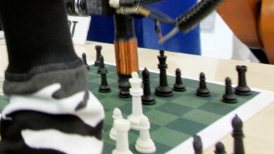 Chess robot breaks seven-year-old boy's finger |  Science & Technology News
