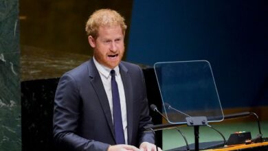 Prince Harry says 'this has been a year of suffering, of a decade of suffering' in UN Mandela Day speech |  UK News
