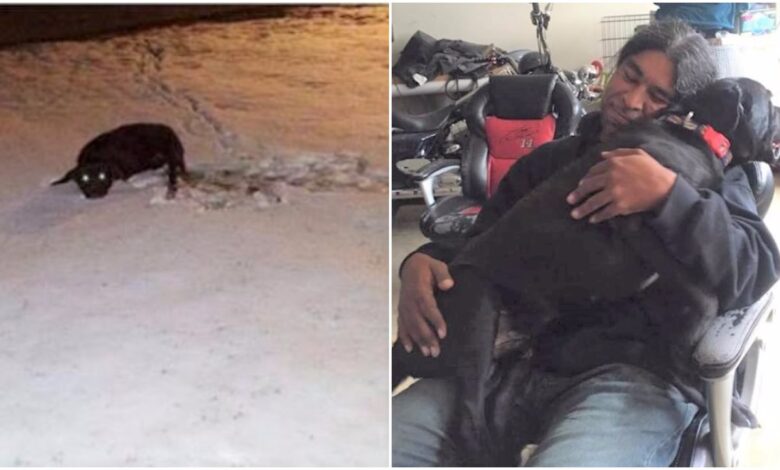 The dog left behind because it was dead jumped into the arms of the man who saved it