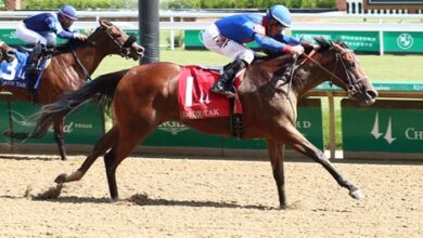 Bell's the One, Twilight Blue Win shares in Churchill
