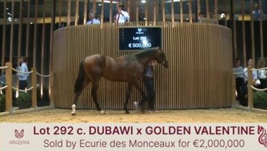 Arqana 3rd Year Sale in August - Video -