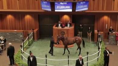 Lane's End sets a record with $1.8 million quality Filly - Video -