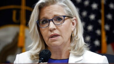 Rep. Liz Cheney loses GOP primaries to Trump-backed challenger, NBC projects