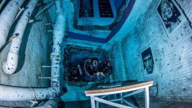 Dubai's underwater attractions start revenge tourism trend