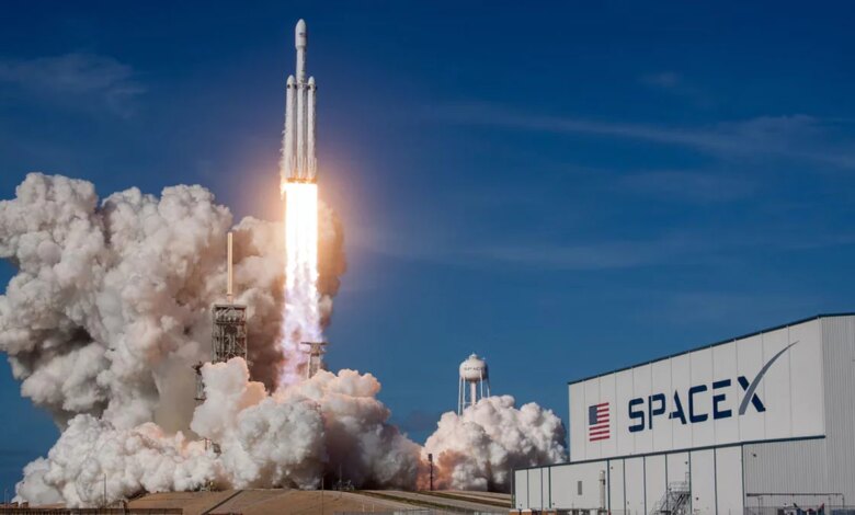 Elon Musk’s SpaceX Debris Discovered in Australian Sheep Paddock