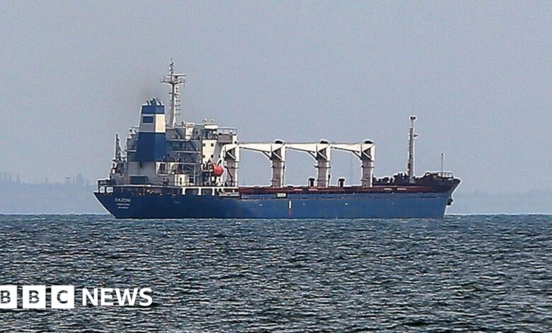 Ukraine War: First grain ship leaves Ukraine for Turkish waters