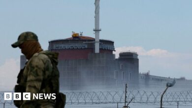Zaporizhzhia: The real danger of nuclear disaster in Ukraine - watchdog