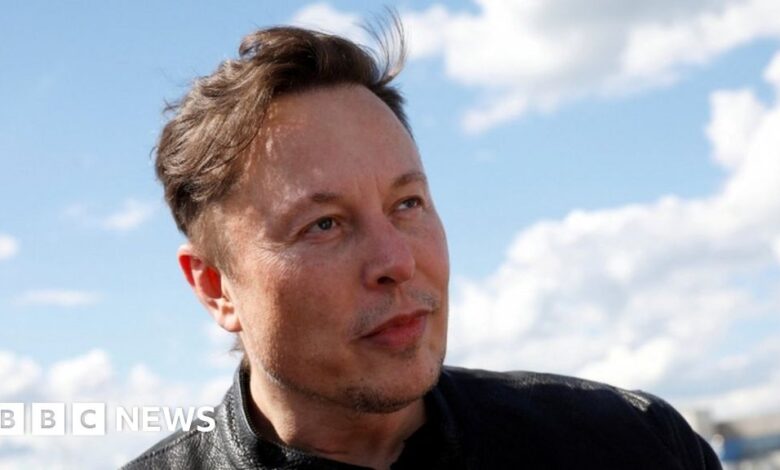 Billionaire Elon Musk sells another $6.9 billion in Tesla shares