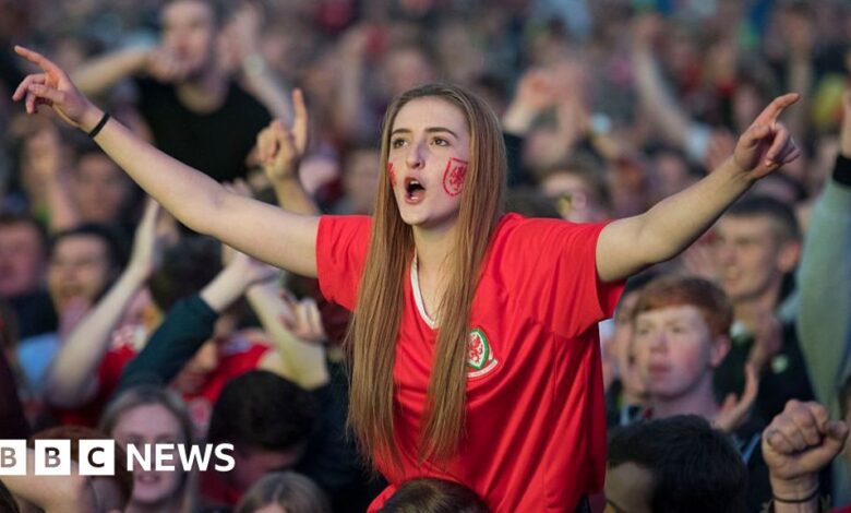 World Cup 2022: Will the Welsh fans return?