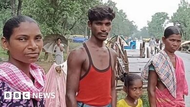 Gadchiroli: Indian tribal families living on highways with animals