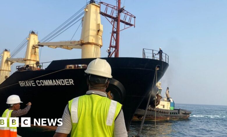 Ship carrying Ukrainian grain aid to Ethiopia docked in Djibouti