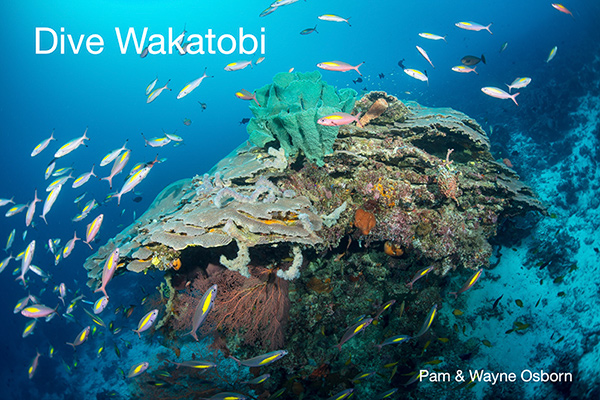 "Dive Wakatobi" by Pam & Wayne Osborn