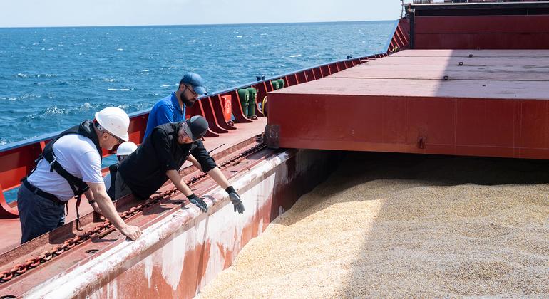 More lifesaving grain shipments allowed to leave Ukraine |