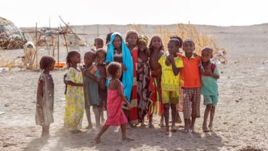 Ethiopia: Without immediate funding, 750,000 refugees will have 'nothing to eat' |