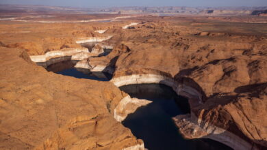 Newly announced water cut is Colorado River at dangerously low level