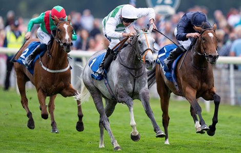 Alpinista Charges Clear in Yorkshire Oaks