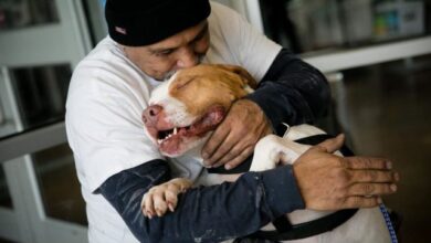 Man keeps his promise by getting back the dog he was forced to surrender 4 months ago