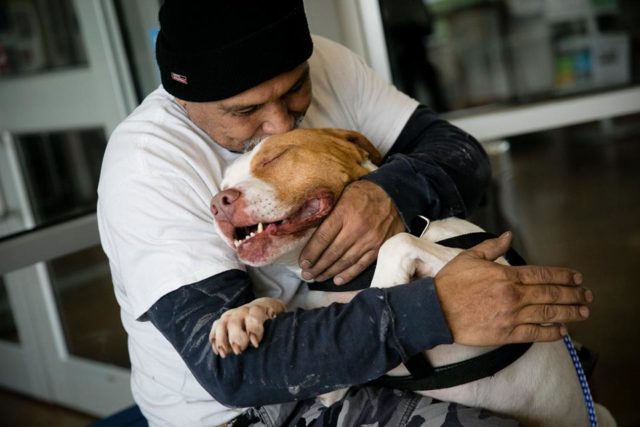 Man keeps his promise by getting back the dog he was forced to surrender 4 months ago
