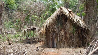 In Brazil, the last member of an isolated indigenous tribe dies