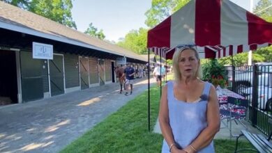 Logan Farm Sales Give Saratoga Respectable Things