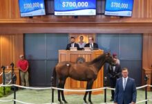 Selling Arrogate Colt Tops FT NY, Breaking Records