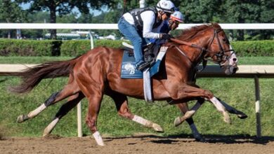 Jack Christopher leads the class in Saratoga's Jerkens