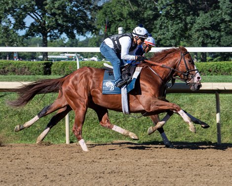 Jack Christopher leads the class in Saratoga's Jerkens
