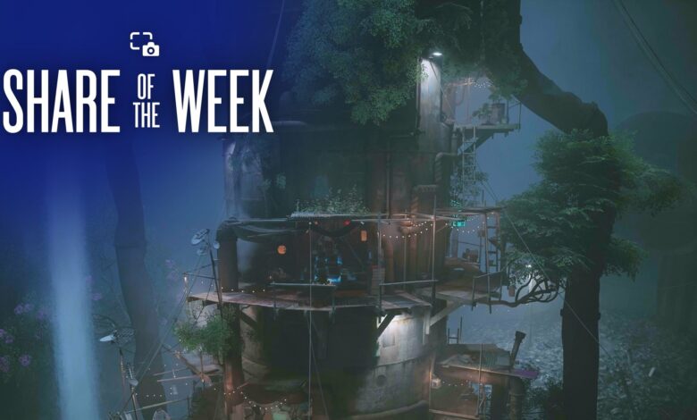 Share of the Week: Platinum Trophy