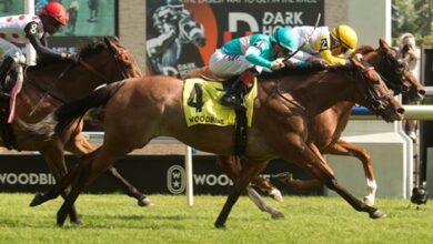 Crystal Cliffs Tops Field of Eight in Canadian Stakes