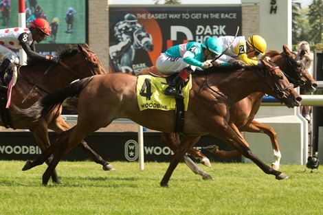 Crystal Cliffs Tops Field of Eight in Canadian Stakes