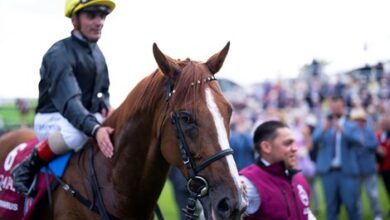 Stradivarius is recovering well, can win the Doncaster Cup