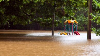 BOM Buries Daily Rainfall Record During Lismore Floods - Did it increase because of that?
