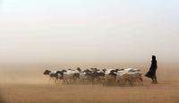 WMO: Drought forecast in the Horn of Africa to continue for the fifth year |