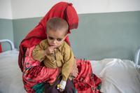 Humanitarian funding still needed for 'pure disaster' in Afghanistan |