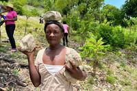 Building a more resilient future after the Haiti earthquake |