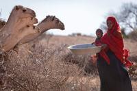 African drought: Some children just need 'a disease to avoid disaster' UNICEF warns |