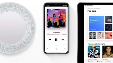 Apple Music 2020: WAP has the most read lyrics, Dance Monkey is the most Shazamed song