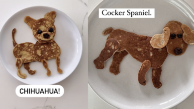 Mom surprises her daughter with new dog-shaped pancakes every morning