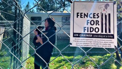 Fido fence for dog release from life on leash, one fence at a time