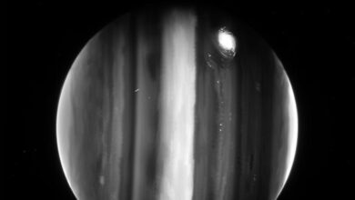 NASA's James Webb telescope shares ravishing images of Jupiter