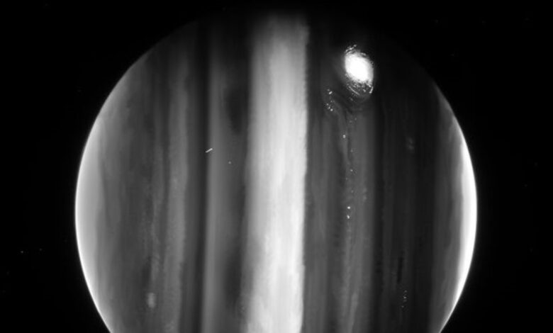 NASA's James Webb telescope shares ravishing images of Jupiter