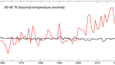 The Sun-Climate Effect: The Winter Gatekeeper Hypothesis (III). Meridional transport