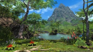 Final Fantasy XIV Island Sanctuary Introduced Before Update 6.2