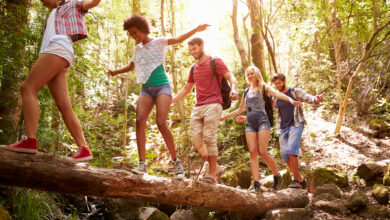 Group of friends crossing a tree trunk bridge in the forest