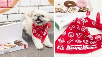 This Independence Day, Krispy Kreme will give your dog something amazing